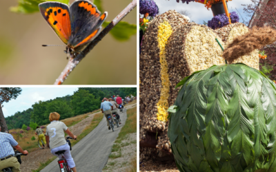 Maatregelen stikstofuitstoot