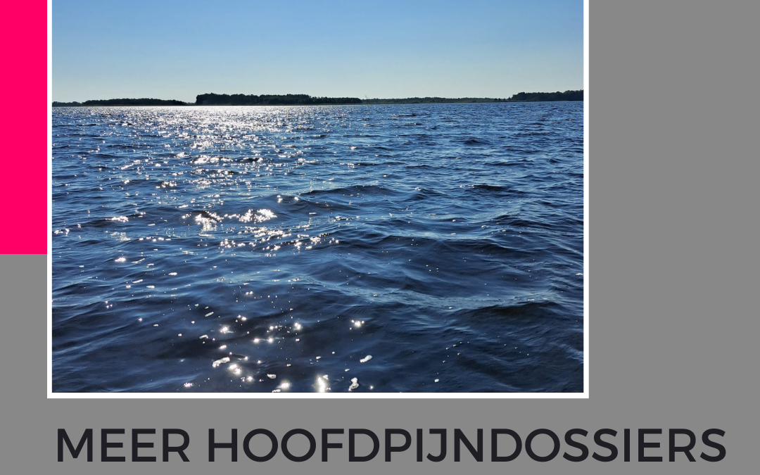 hoofdpijndossiers steenwijkerland