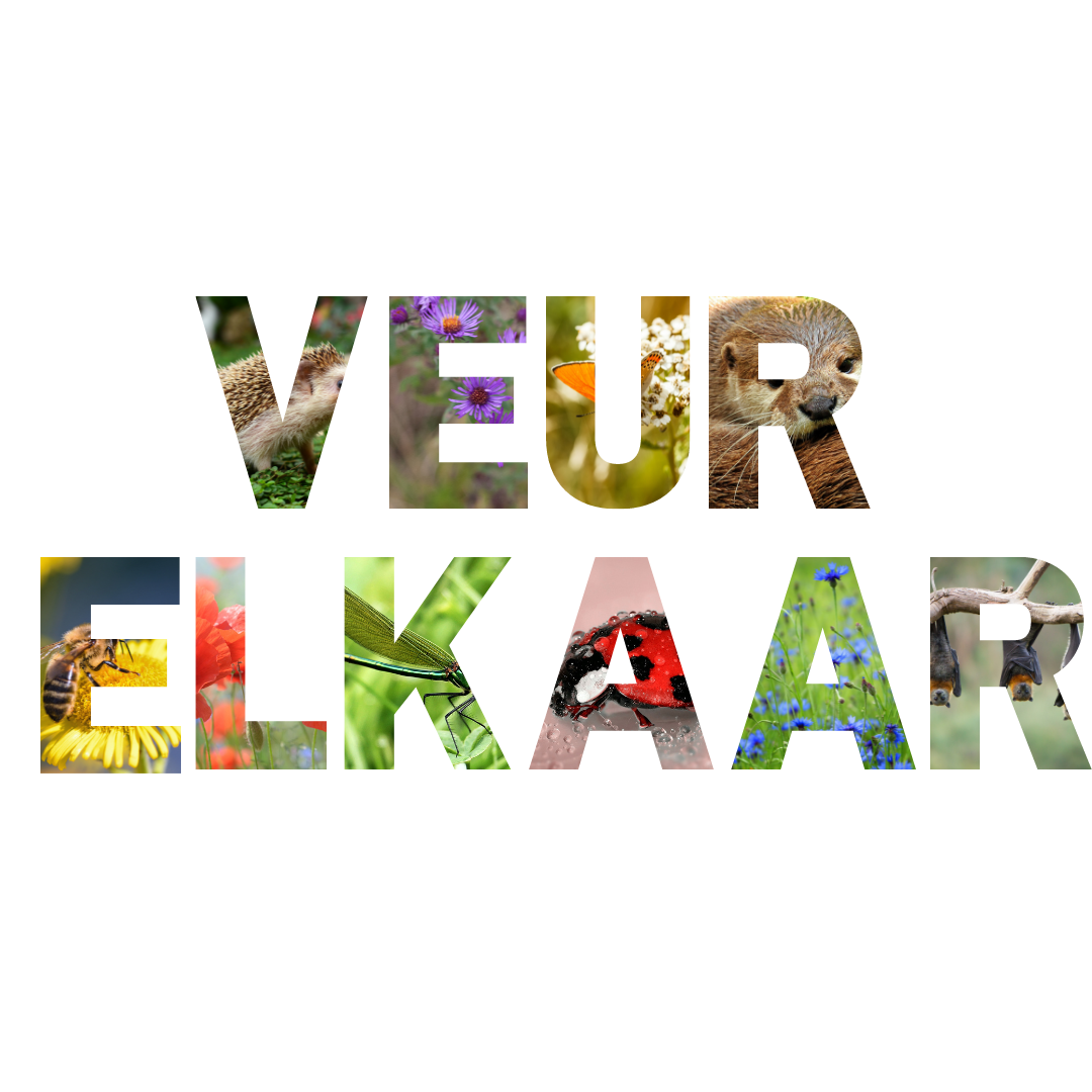 Aletta fractie veur elkaar steenwijkerland