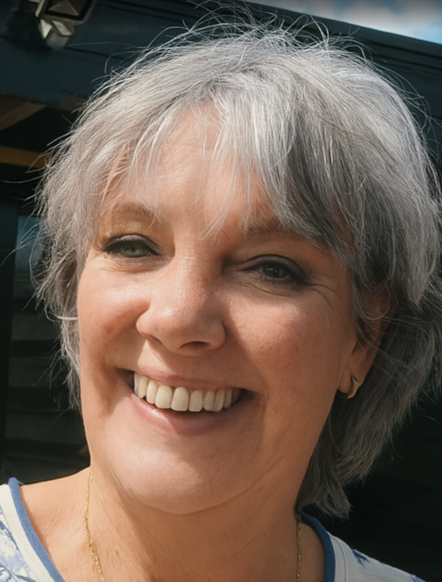 Aletta fractie veur elkaar steenwijkerland